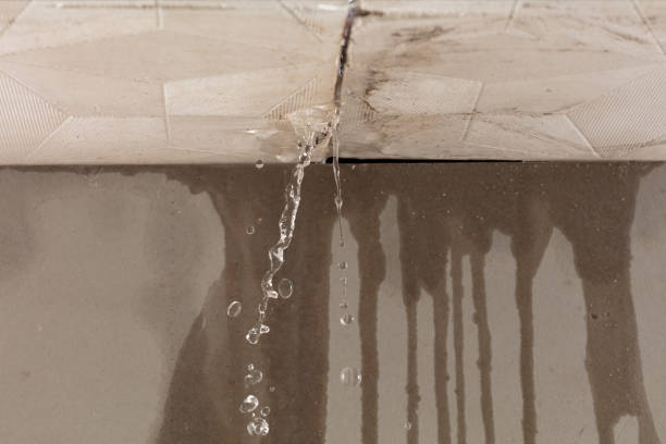 Professional Water Extraction technician working in Bailey, MI